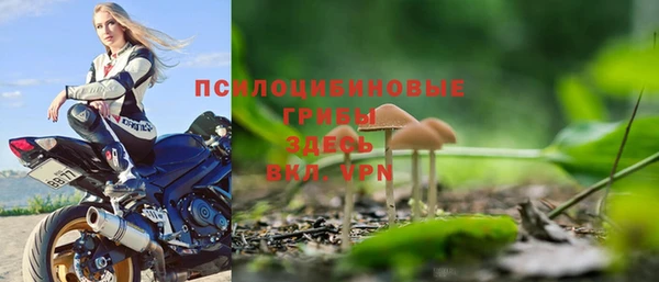 сатива Ладушкин
