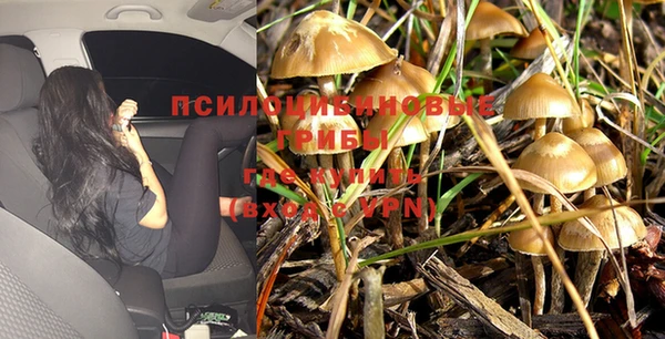 СК Лагань
