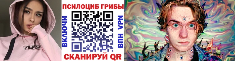 Купить  Верещагино  Псилоцибиновые грибы Magic Shrooms 